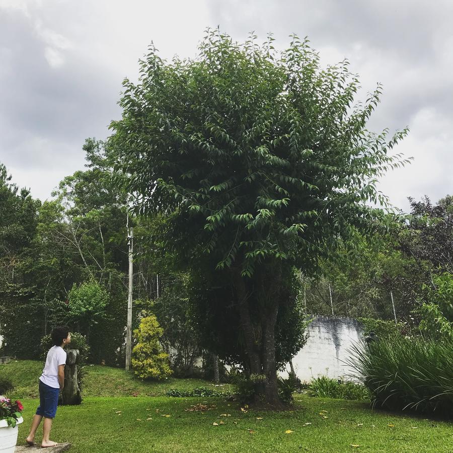 Pousada Recanto Castelinho Campos do Jordão Εξωτερικό φωτογραφία