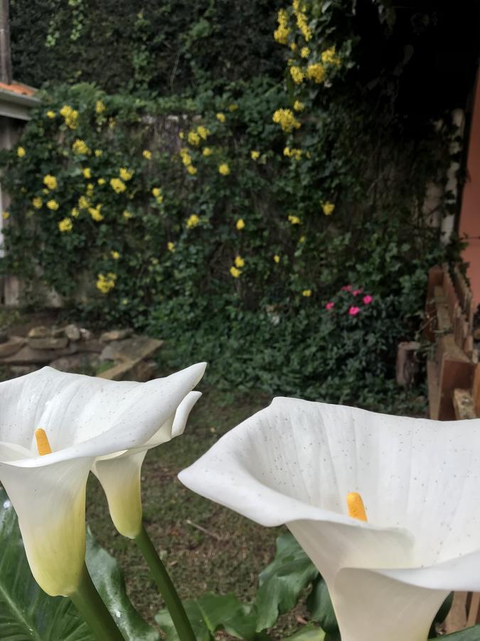 Pousada Recanto Castelinho Campos do Jordão Εξωτερικό φωτογραφία